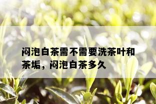 闷泡白茶需不需要洗茶叶和茶垢，闷泡白茶多久