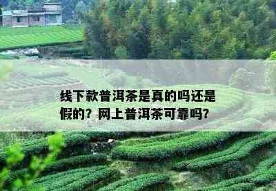 线下款普洱茶是真的吗还是假的？网上普洱茶可靠吗？