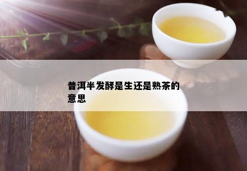 普洱半发酵是生还是熟茶的意思