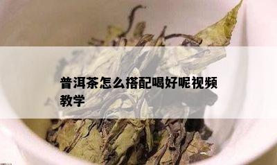 普洱茶怎么搭配喝好呢视频教学