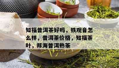 知福普洱茶好吗，铁观音怎么样，普洱茶价格，知福茶叶，邦海普洱熟茶