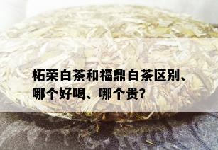 柘荣白茶和福鼎白茶区别、哪个好喝、哪个贵？