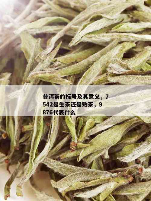 普洱茶的标号及其意义，7542是生茶还是熟茶，9876代表什么