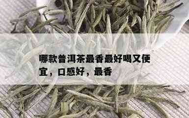 哪款普洱茶最香更好喝又便宜，口感好，最香