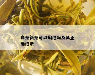 白茶新茶可以焖泡吗及其正确泡法