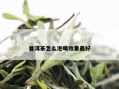 普洱茶怎么泡喝效果更好