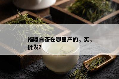 福鼎白茶在哪里产的，买，批发？