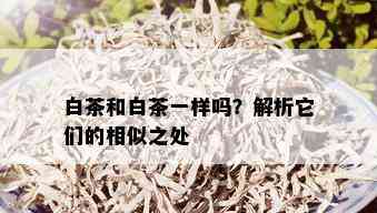 白茶和白茶一样吗？解析它们的相似之处