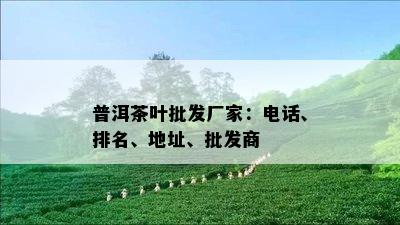 普洱茶叶批发厂家：电话、排名、地址、批发商