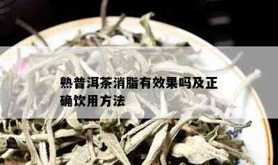 熟普洱茶消脂有效果吗及正确饮用方法