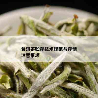 普洱茶贮存技术规范与存储注意事项