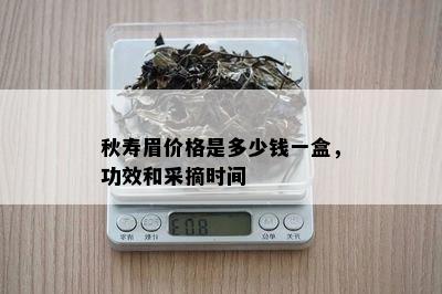 秋寿眉价格是多少钱一盒，功效和采摘时间