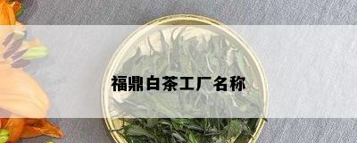 福鼎白茶工厂名称