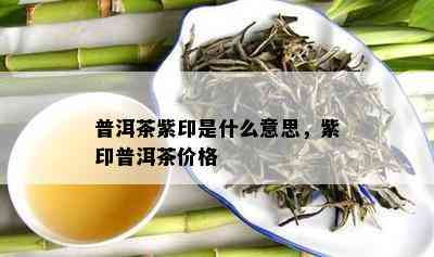 普洱茶紫印是什么意思，紫印普洱茶价格