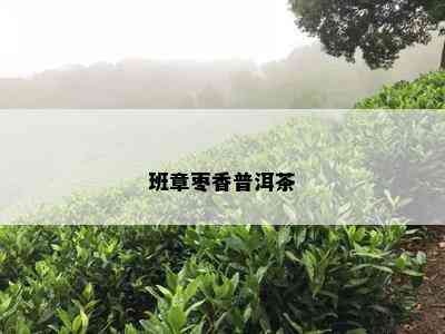 班章枣香普洱茶