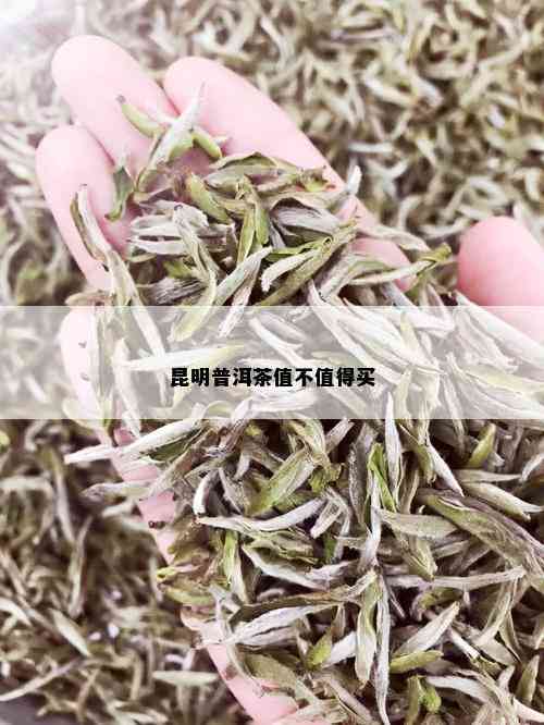 昆明普洱茶值不值得买