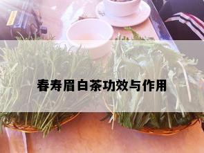 春寿眉白茶功效与作用