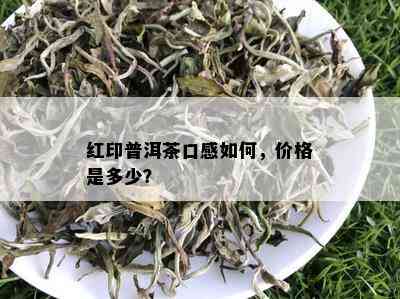 红印普洱茶口感如何，价格是多少？