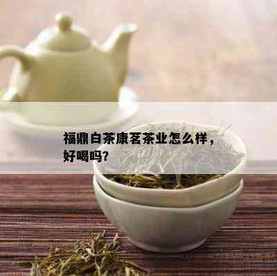 福鼎白茶康茗茶业怎么样，好喝吗？