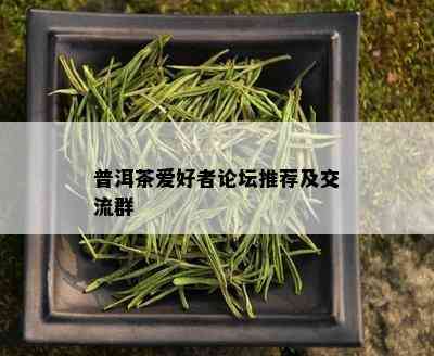 普洱茶爱好者论坛推荐及交流群