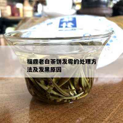 福鼎老白茶饼发霉的处理方法及发黑原因