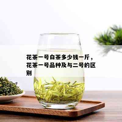 花茶一号白茶多少钱一斤，花茶一号品种及与二号的区别