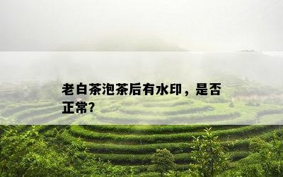 老白茶泡茶后有水印，是否正常？