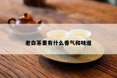 老白茶里有什么香气和味道