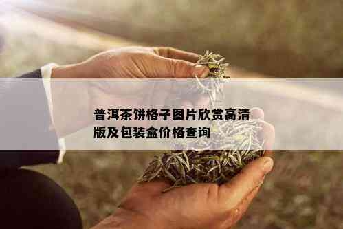 普洱茶饼格子图片欣赏高清版及包装盒价格查询