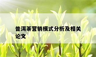 普洱茶营销模式分析及相关论文