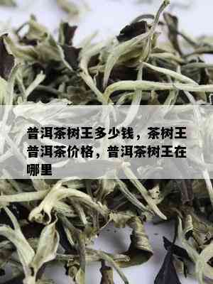 普洱茶树王多少钱，茶树王普洱茶价格，普洱茶树王在哪里