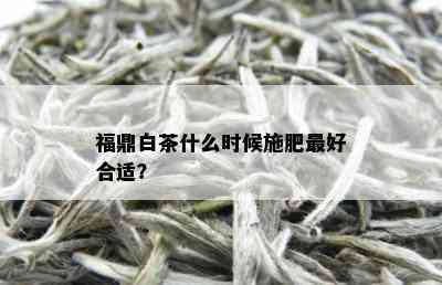 福鼎白茶什么时候施肥更好合适？