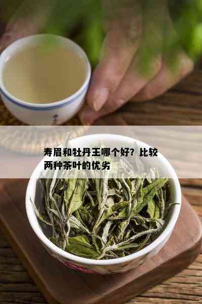 寿眉和牡丹王哪个好？比较两种茶叶的优劣