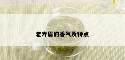 老寿眉的香气及特点