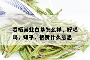 贤栖茶业白茶怎么样，好喝吗，知乎，栖贤什么意思