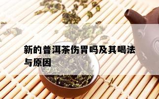 新的普洱茶伤胃吗及其喝法与原因