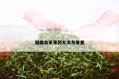 福鼎白茶用药方法与用量