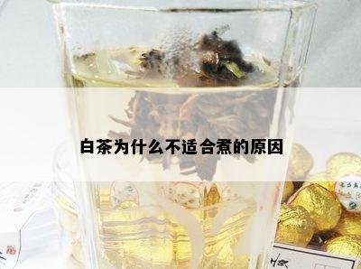 白茶为什么不适合煮的原因