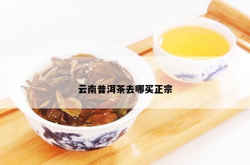 云南普洱茶去哪买正宗