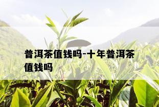 普洱茶值钱吗-十年普洱茶值钱吗