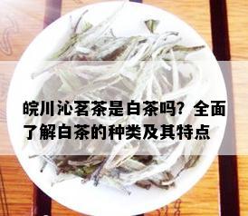 皖川沁茗茶是白茶吗？全面了解白茶的种类及其特点