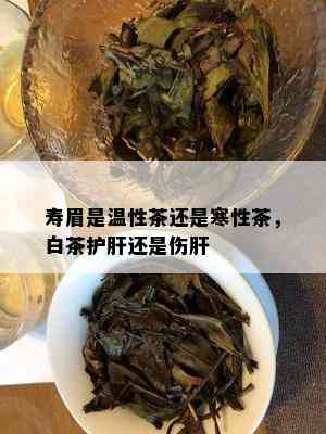 寿眉是温性茶还是寒性茶，白茶护肝还是伤肝