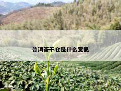 普洱茶干仓是什么意思