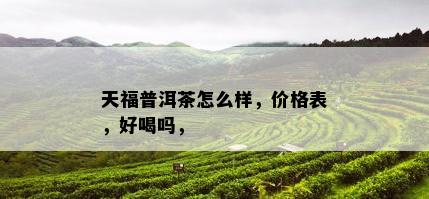 天福普洱茶怎么样，价格表，好喝吗，