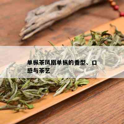 单枞茶凤凰单枞的香型、口感与茶艺