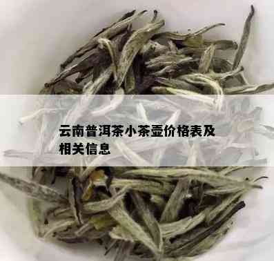 云南普洱茶小茶壶价格表及相关信息