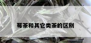 莓茶和其它类茶的区别