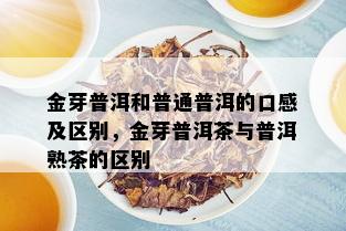 金芽普洱和普通普洱的口感及区别，金芽普洱茶与普洱熟茶的区别