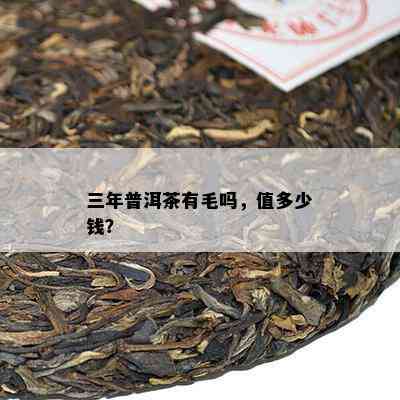 三年普洱茶有毛吗，值多少钱？