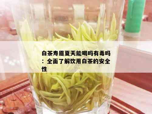 白茶寿眉夏天能喝吗有吗：全面了解饮用白茶的安全性